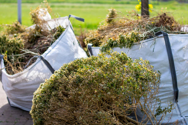 Best Electronics Removal Services  in Mount Vista, WA